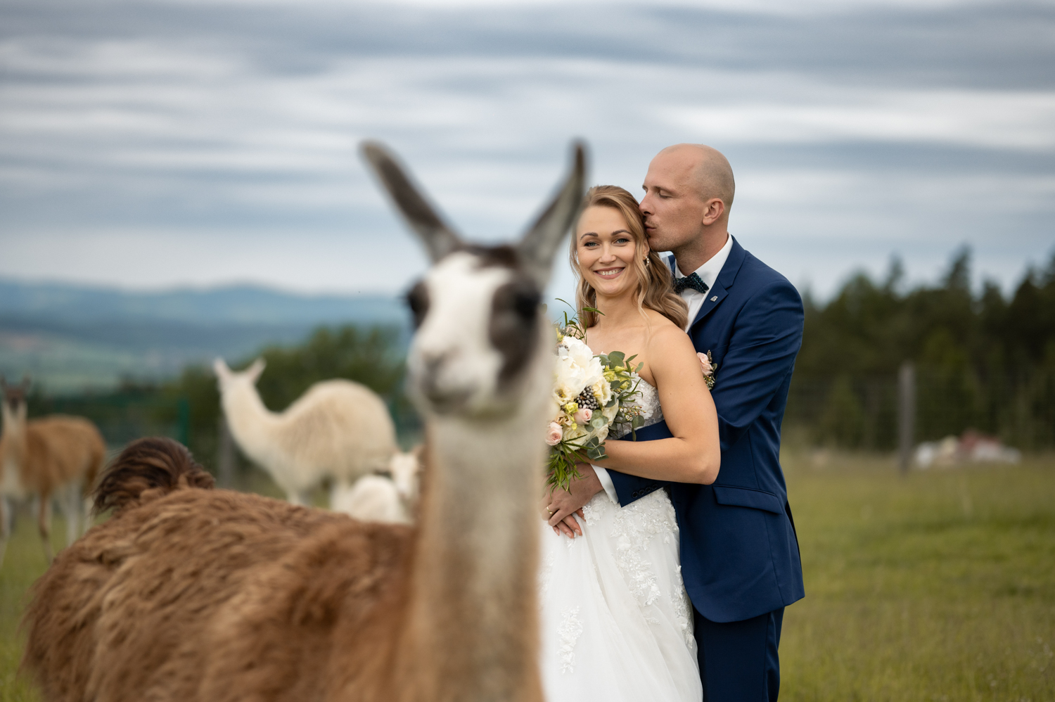 mareksafar-svatba012