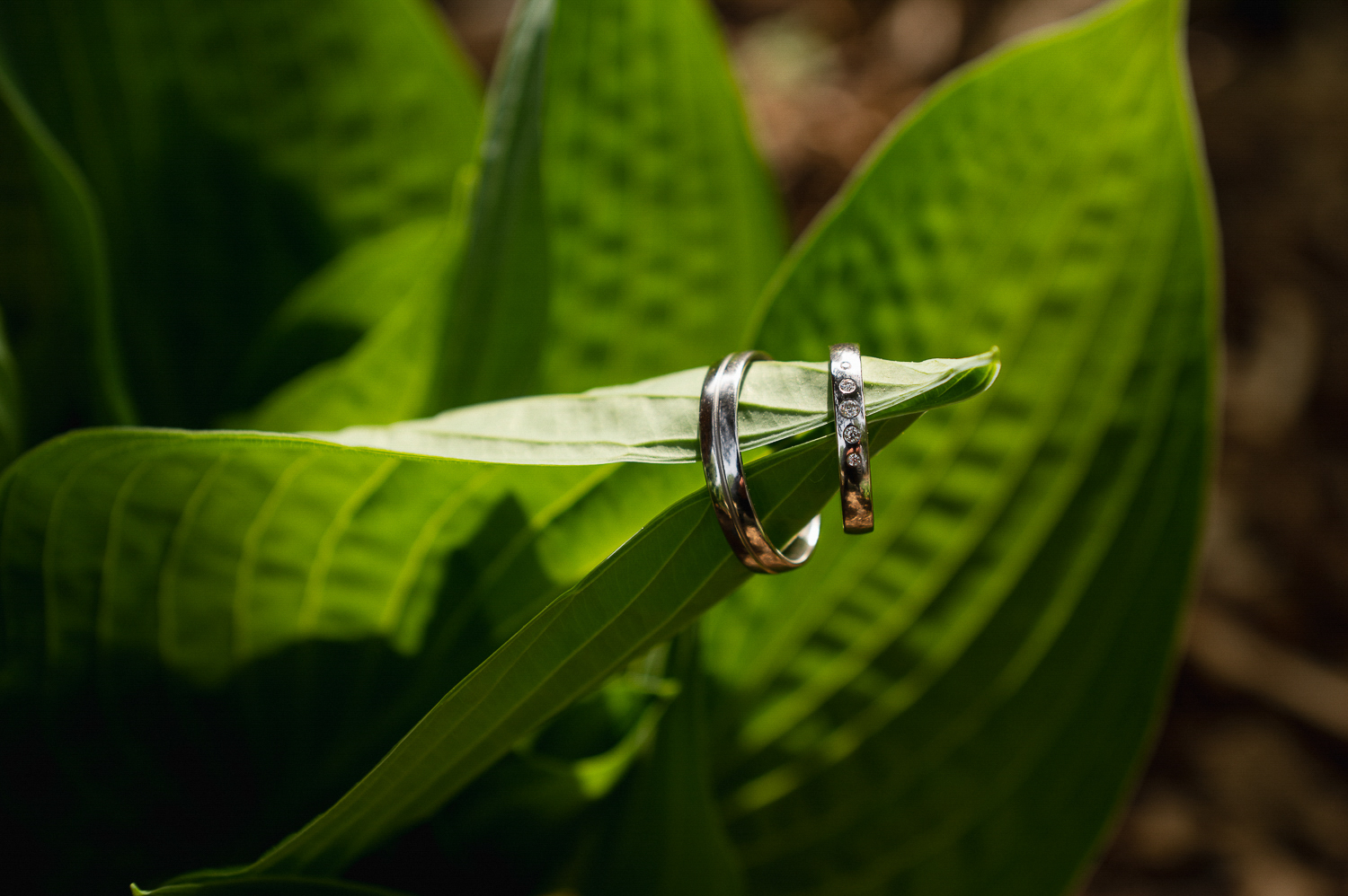 mareksafar-svatba031