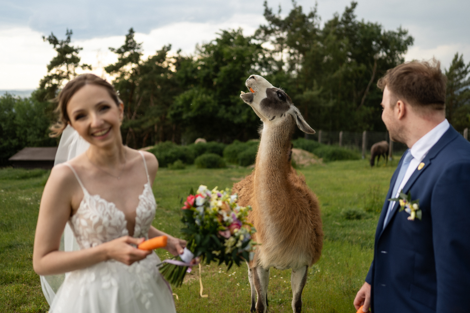 mareksafar-svatba058