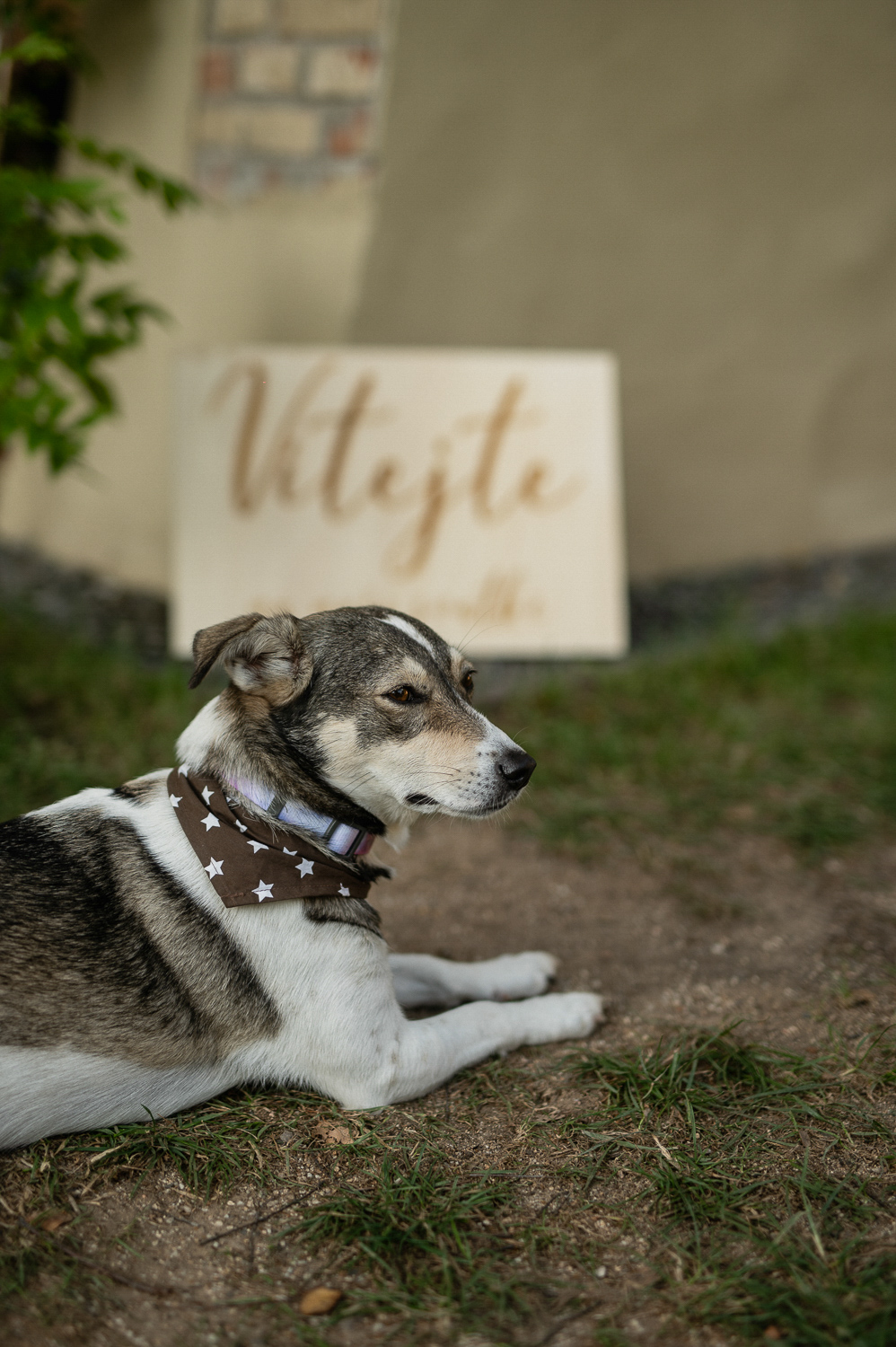 mareksafar-svatba142